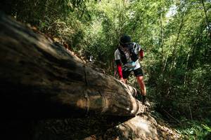 BIB: 
                            <button type="button" onclick="openModal(27965375)" class="btn btn-primary btn-sm float-right btn-popup" data-toggle="modal" data-target=".modal-high-quality">
                        <i class="fas fa-shopping-cart"></i> Add to Cart
                    </button>
                                            <button type="button" onclick="isThisMe(27965375, true)" class="btn btn-success btn-sm float-right btn-popup btn-isme hidden" data-toggle="tooltip" data-placement="bottom" title="นี่คือรูปของคุณใช่ไหม คลิกที่นี่เพื่อเอาเข้าอัลบั้ม">
                        <i class="fas fa-plus"></i> Add to album
                    </button>
                    <button type="button" onclick="isThisMe(27965375, false)" class="btn btn-warning btn-sm float-right btn-popup btn-isnotme hidden">
                        <i class="fas fa-ban"></i> Remove from album
                    </button>