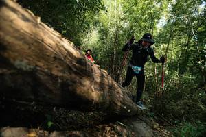 BIB: 
                            <button type="button" onclick="openModal(27959721)" class="btn btn-primary btn-sm float-right btn-popup" data-toggle="modal" data-target=".modal-high-quality">
                        <i class="fas fa-shopping-cart"></i> Add to Cart
                    </button>
                                            <button type="button" onclick="isThisMe(27959721, true)" class="btn btn-success btn-sm float-right btn-popup btn-isme hidden" data-toggle="tooltip" data-placement="bottom" title="นี่คือรูปของคุณใช่ไหม คลิกที่นี่เพื่อเอาเข้าอัลบั้ม">
                        <i class="fas fa-plus"></i> Add to album
                    </button>
                    <button type="button" onclick="isThisMe(27959721, false)" class="btn btn-warning btn-sm float-right btn-popup btn-isnotme hidden">
                        <i class="fas fa-ban"></i> Remove from album
                    </button>