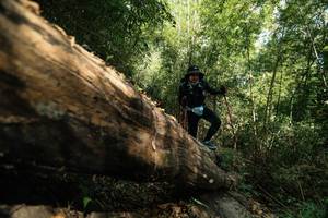 BIB: 
                            <button type="button" onclick="openModal(27959746)" class="btn btn-primary btn-sm float-right btn-popup" data-toggle="modal" data-target=".modal-high-quality">
                        <i class="fas fa-shopping-cart"></i> Add to Cart
                    </button>
                                            <button type="button" onclick="isThisMe(27959746, true)" class="btn btn-success btn-sm float-right btn-popup btn-isme hidden" data-toggle="tooltip" data-placement="bottom" title="นี่คือรูปของคุณใช่ไหม คลิกที่นี่เพื่อเอาเข้าอัลบั้ม">
                        <i class="fas fa-plus"></i> Add to album
                    </button>
                    <button type="button" onclick="isThisMe(27959746, false)" class="btn btn-warning btn-sm float-right btn-popup btn-isnotme hidden">
                        <i class="fas fa-ban"></i> Remove from album
                    </button>