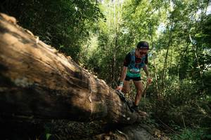 BIB: 
                            <button type="button" onclick="openModal(27959762)" class="btn btn-primary btn-sm float-right btn-popup" data-toggle="modal" data-target=".modal-high-quality">
                        <i class="fas fa-shopping-cart"></i> Add to Cart
                    </button>
                                            <button type="button" onclick="isThisMe(27959762, true)" class="btn btn-success btn-sm float-right btn-popup btn-isme hidden" data-toggle="tooltip" data-placement="bottom" title="นี่คือรูปของคุณใช่ไหม คลิกที่นี่เพื่อเอาเข้าอัลบั้ม">
                        <i class="fas fa-plus"></i> Add to album
                    </button>
                    <button type="button" onclick="isThisMe(27959762, false)" class="btn btn-warning btn-sm float-right btn-popup btn-isnotme hidden">
                        <i class="fas fa-ban"></i> Remove from album
                    </button>