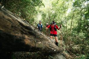 BIB: 
                            <button type="button" onclick="openModal(27964413)" class="btn btn-primary btn-sm float-right btn-popup" data-toggle="modal" data-target=".modal-high-quality">
                        <i class="fas fa-shopping-cart"></i> Add to Cart
                    </button>
                                            <button type="button" onclick="isThisMe(27964413, true)" class="btn btn-success btn-sm float-right btn-popup btn-isme hidden" data-toggle="tooltip" data-placement="bottom" title="นี่คือรูปของคุณใช่ไหม คลิกที่นี่เพื่อเอาเข้าอัลบั้ม">
                        <i class="fas fa-plus"></i> Add to album
                    </button>
                    <button type="button" onclick="isThisMe(27964413, false)" class="btn btn-warning btn-sm float-right btn-popup btn-isnotme hidden">
                        <i class="fas fa-ban"></i> Remove from album
                    </button>