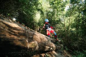 BIB: 
                            <button type="button" onclick="openModal(27963645)" class="btn btn-primary btn-sm float-right btn-popup" data-toggle="modal" data-target=".modal-high-quality">
                        <i class="fas fa-shopping-cart"></i> Add to Cart
                    </button>
                                            <button type="button" onclick="isThisMe(27963645, true)" class="btn btn-success btn-sm float-right btn-popup btn-isme hidden" data-toggle="tooltip" data-placement="bottom" title="นี่คือรูปของคุณใช่ไหม คลิกที่นี่เพื่อเอาเข้าอัลบั้ม">
                        <i class="fas fa-plus"></i> Add to album
                    </button>
                    <button type="button" onclick="isThisMe(27963645, false)" class="btn btn-warning btn-sm float-right btn-popup btn-isnotme hidden">
                        <i class="fas fa-ban"></i> Remove from album
                    </button>