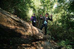 BIB: 
                            <button type="button" onclick="openModal(27959116)" class="btn btn-primary btn-sm float-right btn-popup" data-toggle="modal" data-target=".modal-high-quality">
                        <i class="fas fa-shopping-cart"></i> Add to Cart
                    </button>
                                            <button type="button" onclick="isThisMe(27959116, true)" class="btn btn-success btn-sm float-right btn-popup btn-isme hidden" data-toggle="tooltip" data-placement="bottom" title="นี่คือรูปของคุณใช่ไหม คลิกที่นี่เพื่อเอาเข้าอัลบั้ม">
                        <i class="fas fa-plus"></i> Add to album
                    </button>
                    <button type="button" onclick="isThisMe(27959116, false)" class="btn btn-warning btn-sm float-right btn-popup btn-isnotme hidden">
                        <i class="fas fa-ban"></i> Remove from album
                    </button>