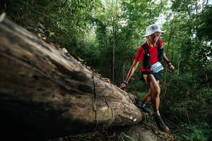 BIB: 
                            <button type="button" onclick="openModal(27965529)" class="btn btn-primary btn-sm float-right btn-popup" data-toggle="modal" data-target=".modal-high-quality">
                        <i class="fas fa-shopping-cart"></i> Add to Cart
                    </button>
                                            <button type="button" onclick="isThisMe(27965529, true)" class="btn btn-success btn-sm float-right btn-popup btn-isme hidden" data-toggle="tooltip" data-placement="bottom" title="นี่คือรูปของคุณใช่ไหม คลิกที่นี่เพื่อเอาเข้าอัลบั้ม">
                        <i class="fas fa-plus"></i> Add to album
                    </button>
                    <button type="button" onclick="isThisMe(27965529, false)" class="btn btn-warning btn-sm float-right btn-popup btn-isnotme hidden">
                        <i class="fas fa-ban"></i> Remove from album
                    </button>