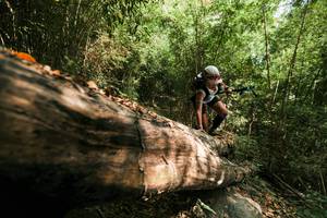 BIB: 
                            <button type="button" onclick="openModal(27961312)" class="btn btn-primary btn-sm float-right btn-popup" data-toggle="modal" data-target=".modal-high-quality">
                        <i class="fas fa-shopping-cart"></i> Add to Cart
                    </button>
                                            <button type="button" onclick="isThisMe(27961312, true)" class="btn btn-success btn-sm float-right btn-popup btn-isme hidden" data-toggle="tooltip" data-placement="bottom" title="นี่คือรูปของคุณใช่ไหม คลิกที่นี่เพื่อเอาเข้าอัลบั้ม">
                        <i class="fas fa-plus"></i> Add to album
                    </button>
                    <button type="button" onclick="isThisMe(27961312, false)" class="btn btn-warning btn-sm float-right btn-popup btn-isnotme hidden">
                        <i class="fas fa-ban"></i> Remove from album
                    </button>