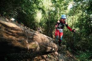 BIB: 
                            <button type="button" onclick="openModal(27963630)" class="btn btn-primary btn-sm float-right btn-popup" data-toggle="modal" data-target=".modal-high-quality">
                        <i class="fas fa-shopping-cart"></i> Add to Cart
                    </button>
                                            <button type="button" onclick="isThisMe(27963630, true)" class="btn btn-success btn-sm float-right btn-popup btn-isme hidden" data-toggle="tooltip" data-placement="bottom" title="นี่คือรูปของคุณใช่ไหม คลิกที่นี่เพื่อเอาเข้าอัลบั้ม">
                        <i class="fas fa-plus"></i> Add to album
                    </button>
                    <button type="button" onclick="isThisMe(27963630, false)" class="btn btn-warning btn-sm float-right btn-popup btn-isnotme hidden">
                        <i class="fas fa-ban"></i> Remove from album
                    </button>