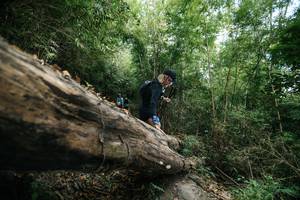 BIB: 
                            <button type="button" onclick="openModal(27964262)" class="btn btn-primary btn-sm float-right btn-popup" data-toggle="modal" data-target=".modal-high-quality">
                        <i class="fas fa-shopping-cart"></i> Add to Cart
                    </button>
                                            <button type="button" onclick="isThisMe(27964262, true)" class="btn btn-success btn-sm float-right btn-popup btn-isme hidden" data-toggle="tooltip" data-placement="bottom" title="นี่คือรูปของคุณใช่ไหม คลิกที่นี่เพื่อเอาเข้าอัลบั้ม">
                        <i class="fas fa-plus"></i> Add to album
                    </button>
                    <button type="button" onclick="isThisMe(27964262, false)" class="btn btn-warning btn-sm float-right btn-popup btn-isnotme hidden">
                        <i class="fas fa-ban"></i> Remove from album
                    </button>