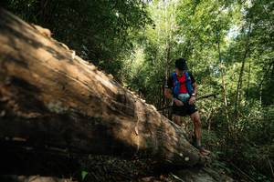 BIB: 
                            <button type="button" onclick="openModal(27959794)" class="btn btn-primary btn-sm float-right btn-popup" data-toggle="modal" data-target=".modal-high-quality">
                        <i class="fas fa-shopping-cart"></i> Add to Cart
                    </button>
                                            <button type="button" onclick="isThisMe(27959794, true)" class="btn btn-success btn-sm float-right btn-popup btn-isme hidden" data-toggle="tooltip" data-placement="bottom" title="นี่คือรูปของคุณใช่ไหม คลิกที่นี่เพื่อเอาเข้าอัลบั้ม">
                        <i class="fas fa-plus"></i> Add to album
                    </button>
                    <button type="button" onclick="isThisMe(27959794, false)" class="btn btn-warning btn-sm float-right btn-popup btn-isnotme hidden">
                        <i class="fas fa-ban"></i> Remove from album
                    </button>