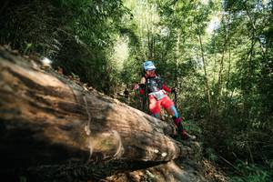 BIB: 
                            <button type="button" onclick="openModal(27963640)" class="btn btn-primary btn-sm float-right btn-popup" data-toggle="modal" data-target=".modal-high-quality">
                        <i class="fas fa-shopping-cart"></i> Add to Cart
                    </button>
                                            <button type="button" onclick="isThisMe(27963640, true)" class="btn btn-success btn-sm float-right btn-popup btn-isme hidden" data-toggle="tooltip" data-placement="bottom" title="นี่คือรูปของคุณใช่ไหม คลิกที่นี่เพื่อเอาเข้าอัลบั้ม">
                        <i class="fas fa-plus"></i> Add to album
                    </button>
                    <button type="button" onclick="isThisMe(27963640, false)" class="btn btn-warning btn-sm float-right btn-popup btn-isnotme hidden">
                        <i class="fas fa-ban"></i> Remove from album
                    </button>