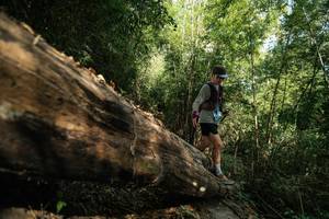 BIB: 
                            <button type="button" onclick="openModal(27959464)" class="btn btn-primary btn-sm float-right btn-popup" data-toggle="modal" data-target=".modal-high-quality">
                        <i class="fas fa-shopping-cart"></i> Add to Cart
                    </button>
                                            <button type="button" onclick="isThisMe(27959464, true)" class="btn btn-success btn-sm float-right btn-popup btn-isme hidden" data-toggle="tooltip" data-placement="bottom" title="นี่คือรูปของคุณใช่ไหม คลิกที่นี่เพื่อเอาเข้าอัลบั้ม">
                        <i class="fas fa-plus"></i> Add to album
                    </button>
                    <button type="button" onclick="isThisMe(27959464, false)" class="btn btn-warning btn-sm float-right btn-popup btn-isnotme hidden">
                        <i class="fas fa-ban"></i> Remove from album
                    </button>