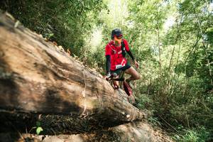 BIB: 
                            <button type="button" onclick="openModal(27964143)" class="btn btn-primary btn-sm float-right btn-popup" data-toggle="modal" data-target=".modal-high-quality">
                        <i class="fas fa-shopping-cart"></i> Add to Cart
                    </button>
                                            <button type="button" onclick="isThisMe(27964143, true)" class="btn btn-success btn-sm float-right btn-popup btn-isme hidden" data-toggle="tooltip" data-placement="bottom" title="นี่คือรูปของคุณใช่ไหม คลิกที่นี่เพื่อเอาเข้าอัลบั้ม">
                        <i class="fas fa-plus"></i> Add to album
                    </button>
                    <button type="button" onclick="isThisMe(27964143, false)" class="btn btn-warning btn-sm float-right btn-popup btn-isnotme hidden">
                        <i class="fas fa-ban"></i> Remove from album
                    </button>