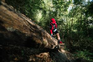 BIB: 
                            <button type="button" onclick="openModal(27963037)" class="btn btn-primary btn-sm float-right btn-popup" data-toggle="modal" data-target=".modal-high-quality">
                        <i class="fas fa-shopping-cart"></i> Add to Cart
                    </button>
                                            <button type="button" onclick="isThisMe(27963037, true)" class="btn btn-success btn-sm float-right btn-popup btn-isme hidden" data-toggle="tooltip" data-placement="bottom" title="นี่คือรูปของคุณใช่ไหม คลิกที่นี่เพื่อเอาเข้าอัลบั้ม">
                        <i class="fas fa-plus"></i> Add to album
                    </button>
                    <button type="button" onclick="isThisMe(27963037, false)" class="btn btn-warning btn-sm float-right btn-popup btn-isnotme hidden">
                        <i class="fas fa-ban"></i> Remove from album
                    </button>