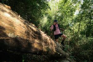 BIB: 
                            <button type="button" onclick="openModal(27959913)" class="btn btn-primary btn-sm float-right btn-popup" data-toggle="modal" data-target=".modal-high-quality">
                        <i class="fas fa-shopping-cart"></i> Add to Cart
                    </button>
                                            <button type="button" onclick="isThisMe(27959913, true)" class="btn btn-success btn-sm float-right btn-popup btn-isme hidden" data-toggle="tooltip" data-placement="bottom" title="นี่คือรูปของคุณใช่ไหม คลิกที่นี่เพื่อเอาเข้าอัลบั้ม">
                        <i class="fas fa-plus"></i> Add to album
                    </button>
                    <button type="button" onclick="isThisMe(27959913, false)" class="btn btn-warning btn-sm float-right btn-popup btn-isnotme hidden">
                        <i class="fas fa-ban"></i> Remove from album
                    </button>