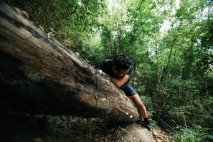 BIB: 
                            <button type="button" onclick="openModal(27961185)" class="btn btn-primary btn-sm float-right btn-popup" data-toggle="modal" data-target=".modal-high-quality">
                        <i class="fas fa-shopping-cart"></i> Add to Cart
                    </button>
                                            <button type="button" onclick="isThisMe(27961185, true)" class="btn btn-success btn-sm float-right btn-popup btn-isme hidden" data-toggle="tooltip" data-placement="bottom" title="นี่คือรูปของคุณใช่ไหม คลิกที่นี่เพื่อเอาเข้าอัลบั้ม">
                        <i class="fas fa-plus"></i> Add to album
                    </button>
                    <button type="button" onclick="isThisMe(27961185, false)" class="btn btn-warning btn-sm float-right btn-popup btn-isnotme hidden">
                        <i class="fas fa-ban"></i> Remove from album
                    </button>