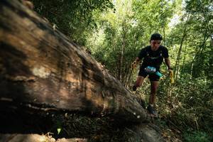 BIB: 
                            <button type="button" onclick="openModal(27960484)" class="btn btn-primary btn-sm float-right btn-popup" data-toggle="modal" data-target=".modal-high-quality">
                        <i class="fas fa-shopping-cart"></i> Add to Cart
                    </button>
                                            <button type="button" onclick="isThisMe(27960484, true)" class="btn btn-success btn-sm float-right btn-popup btn-isme hidden" data-toggle="tooltip" data-placement="bottom" title="นี่คือรูปของคุณใช่ไหม คลิกที่นี่เพื่อเอาเข้าอัลบั้ม">
                        <i class="fas fa-plus"></i> Add to album
                    </button>
                    <button type="button" onclick="isThisMe(27960484, false)" class="btn btn-warning btn-sm float-right btn-popup btn-isnotme hidden">
                        <i class="fas fa-ban"></i> Remove from album
                    </button>