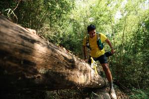 BIB: 
                            <button type="button" onclick="openModal(27961351)" class="btn btn-primary btn-sm float-right btn-popup" data-toggle="modal" data-target=".modal-high-quality">
                        <i class="fas fa-shopping-cart"></i> Add to Cart
                    </button>
                                            <button type="button" onclick="isThisMe(27961351, true)" class="btn btn-success btn-sm float-right btn-popup btn-isme hidden" data-toggle="tooltip" data-placement="bottom" title="นี่คือรูปของคุณใช่ไหม คลิกที่นี่เพื่อเอาเข้าอัลบั้ม">
                        <i class="fas fa-plus"></i> Add to album
                    </button>
                    <button type="button" onclick="isThisMe(27961351, false)" class="btn btn-warning btn-sm float-right btn-popup btn-isnotme hidden">
                        <i class="fas fa-ban"></i> Remove from album
                    </button>