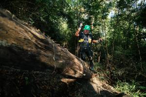 BIB: 
                            <button type="button" onclick="openModal(27961556)" class="btn btn-primary btn-sm float-right btn-popup" data-toggle="modal" data-target=".modal-high-quality">
                        <i class="fas fa-shopping-cart"></i> Add to Cart
                    </button>
                                            <button type="button" onclick="isThisMe(27961556, true)" class="btn btn-success btn-sm float-right btn-popup btn-isme hidden" data-toggle="tooltip" data-placement="bottom" title="นี่คือรูปของคุณใช่ไหม คลิกที่นี่เพื่อเอาเข้าอัลบั้ม">
                        <i class="fas fa-plus"></i> Add to album
                    </button>
                    <button type="button" onclick="isThisMe(27961556, false)" class="btn btn-warning btn-sm float-right btn-popup btn-isnotme hidden">
                        <i class="fas fa-ban"></i> Remove from album
                    </button>