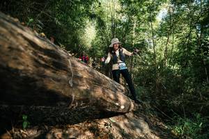 BIB: 
                            <button type="button" onclick="openModal(27963291)" class="btn btn-primary btn-sm float-right btn-popup" data-toggle="modal" data-target=".modal-high-quality">
                        <i class="fas fa-shopping-cart"></i> Add to Cart
                    </button>
                                            <button type="button" onclick="isThisMe(27963291, true)" class="btn btn-success btn-sm float-right btn-popup btn-isme hidden" data-toggle="tooltip" data-placement="bottom" title="นี่คือรูปของคุณใช่ไหม คลิกที่นี่เพื่อเอาเข้าอัลบั้ม">
                        <i class="fas fa-plus"></i> Add to album
                    </button>
                    <button type="button" onclick="isThisMe(27963291, false)" class="btn btn-warning btn-sm float-right btn-popup btn-isnotme hidden">
                        <i class="fas fa-ban"></i> Remove from album
                    </button>