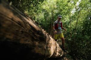 BIB: 
                            <button type="button" onclick="openModal(27965604)" class="btn btn-primary btn-sm float-right btn-popup" data-toggle="modal" data-target=".modal-high-quality">
                        <i class="fas fa-shopping-cart"></i> Add to Cart
                    </button>
                                            <button type="button" onclick="isThisMe(27965604, true)" class="btn btn-success btn-sm float-right btn-popup btn-isme hidden" data-toggle="tooltip" data-placement="bottom" title="นี่คือรูปของคุณใช่ไหม คลิกที่นี่เพื่อเอาเข้าอัลบั้ม">
                        <i class="fas fa-plus"></i> Add to album
                    </button>
                    <button type="button" onclick="isThisMe(27965604, false)" class="btn btn-warning btn-sm float-right btn-popup btn-isnotme hidden">
                        <i class="fas fa-ban"></i> Remove from album
                    </button>