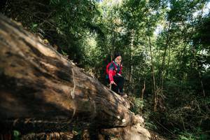 BIB: 
                            <button type="button" onclick="openModal(27962014)" class="btn btn-primary btn-sm float-right btn-popup" data-toggle="modal" data-target=".modal-high-quality">
                        <i class="fas fa-shopping-cart"></i> Add to Cart
                    </button>
                                            <button type="button" onclick="isThisMe(27962014, true)" class="btn btn-success btn-sm float-right btn-popup btn-isme hidden" data-toggle="tooltip" data-placement="bottom" title="นี่คือรูปของคุณใช่ไหม คลิกที่นี่เพื่อเอาเข้าอัลบั้ม">
                        <i class="fas fa-plus"></i> Add to album
                    </button>
                    <button type="button" onclick="isThisMe(27962014, false)" class="btn btn-warning btn-sm float-right btn-popup btn-isnotme hidden">
                        <i class="fas fa-ban"></i> Remove from album
                    </button>