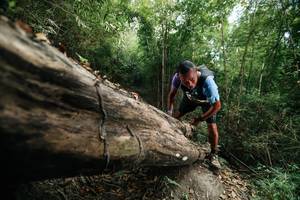 BIB: 
                            <button type="button" onclick="openModal(27965002)" class="btn btn-primary btn-sm float-right btn-popup" data-toggle="modal" data-target=".modal-high-quality">
                        <i class="fas fa-shopping-cart"></i> Add to Cart
                    </button>
                                            <button type="button" onclick="isThisMe(27965002, true)" class="btn btn-success btn-sm float-right btn-popup btn-isme hidden" data-toggle="tooltip" data-placement="bottom" title="นี่คือรูปของคุณใช่ไหม คลิกที่นี่เพื่อเอาเข้าอัลบั้ม">
                        <i class="fas fa-plus"></i> Add to album
                    </button>
                    <button type="button" onclick="isThisMe(27965002, false)" class="btn btn-warning btn-sm float-right btn-popup btn-isnotme hidden">
                        <i class="fas fa-ban"></i> Remove from album
                    </button>