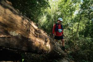 BIB: 
                            <button type="button" onclick="openModal(27960275)" class="btn btn-primary btn-sm float-right btn-popup" data-toggle="modal" data-target=".modal-high-quality">
                        <i class="fas fa-shopping-cart"></i> Add to Cart
                    </button>
                                            <button type="button" onclick="isThisMe(27960275, true)" class="btn btn-success btn-sm float-right btn-popup btn-isme hidden" data-toggle="tooltip" data-placement="bottom" title="นี่คือรูปของคุณใช่ไหม คลิกที่นี่เพื่อเอาเข้าอัลบั้ม">
                        <i class="fas fa-plus"></i> Add to album
                    </button>
                    <button type="button" onclick="isThisMe(27960275, false)" class="btn btn-warning btn-sm float-right btn-popup btn-isnotme hidden">
                        <i class="fas fa-ban"></i> Remove from album
                    </button>