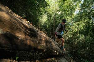 BIB: 
                            <button type="button" onclick="openModal(27959497)" class="btn btn-primary btn-sm float-right btn-popup" data-toggle="modal" data-target=".modal-high-quality">
                        <i class="fas fa-shopping-cart"></i> Add to Cart
                    </button>
                                            <button type="button" onclick="isThisMe(27959497, true)" class="btn btn-success btn-sm float-right btn-popup btn-isme hidden" data-toggle="tooltip" data-placement="bottom" title="นี่คือรูปของคุณใช่ไหม คลิกที่นี่เพื่อเอาเข้าอัลบั้ม">
                        <i class="fas fa-plus"></i> Add to album
                    </button>
                    <button type="button" onclick="isThisMe(27959497, false)" class="btn btn-warning btn-sm float-right btn-popup btn-isnotme hidden">
                        <i class="fas fa-ban"></i> Remove from album
                    </button>