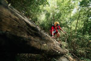 BIB: 
                            <button type="button" onclick="openModal(27964521)" class="btn btn-primary btn-sm float-right btn-popup" data-toggle="modal" data-target=".modal-high-quality">
                        <i class="fas fa-shopping-cart"></i> Add to Cart
                    </button>
                                            <button type="button" onclick="isThisMe(27964521, true)" class="btn btn-success btn-sm float-right btn-popup btn-isme hidden" data-toggle="tooltip" data-placement="bottom" title="นี่คือรูปของคุณใช่ไหม คลิกที่นี่เพื่อเอาเข้าอัลบั้ม">
                        <i class="fas fa-plus"></i> Add to album
                    </button>
                    <button type="button" onclick="isThisMe(27964521, false)" class="btn btn-warning btn-sm float-right btn-popup btn-isnotme hidden">
                        <i class="fas fa-ban"></i> Remove from album
                    </button>