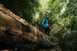 BIB: 
                            <button type="button" onclick="openModal(27959556)" class="btn btn-primary btn-sm float-right btn-popup" data-toggle="modal" data-target=".modal-high-quality">
                        <i class="fas fa-shopping-cart"></i> Add to Cart
                    </button>
                                            <button type="button" onclick="isThisMe(27959556, true)" class="btn btn-success btn-sm float-right btn-popup btn-isme hidden" data-toggle="tooltip" data-placement="bottom" title="นี่คือรูปของคุณใช่ไหม คลิกที่นี่เพื่อเอาเข้าอัลบั้ม">
                        <i class="fas fa-plus"></i> Add to album
                    </button>
                    <button type="button" onclick="isThisMe(27959556, false)" class="btn btn-warning btn-sm float-right btn-popup btn-isnotme hidden">
                        <i class="fas fa-ban"></i> Remove from album
                    </button>