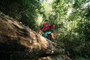 BIB: 
                            <button type="button" onclick="openModal(27959258)" class="btn btn-primary btn-sm float-right btn-popup" data-toggle="modal" data-target=".modal-high-quality">
                        <i class="fas fa-shopping-cart"></i> Add to Cart
                    </button>
                                            <button type="button" onclick="isThisMe(27959258, true)" class="btn btn-success btn-sm float-right btn-popup btn-isme hidden" data-toggle="tooltip" data-placement="bottom" title="นี่คือรูปของคุณใช่ไหม คลิกที่นี่เพื่อเอาเข้าอัลบั้ม">
                        <i class="fas fa-plus"></i> Add to album
                    </button>
                    <button type="button" onclick="isThisMe(27959258, false)" class="btn btn-warning btn-sm float-right btn-popup btn-isnotme hidden">
                        <i class="fas fa-ban"></i> Remove from album
                    </button>