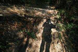 BIB: 
                            <button type="button" onclick="openModal(27962558)" class="btn btn-primary btn-sm float-right btn-popup" data-toggle="modal" data-target=".modal-high-quality">
                        <i class="fas fa-shopping-cart"></i> Add to Cart
                    </button>
                                            <button type="button" onclick="isThisMe(27962558, true)" class="btn btn-success btn-sm float-right btn-popup btn-isme hidden" data-toggle="tooltip" data-placement="bottom" title="นี่คือรูปของคุณใช่ไหม คลิกที่นี่เพื่อเอาเข้าอัลบั้ม">
                        <i class="fas fa-plus"></i> Add to album
                    </button>
                    <button type="button" onclick="isThisMe(27962558, false)" class="btn btn-warning btn-sm float-right btn-popup btn-isnotme hidden">
                        <i class="fas fa-ban"></i> Remove from album
                    </button>