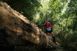 BIB: 
                            <button type="button" onclick="openModal(27959657)" class="btn btn-primary btn-sm float-right btn-popup" data-toggle="modal" data-target=".modal-high-quality">
                        <i class="fas fa-shopping-cart"></i> Add to Cart
                    </button>
                                            <button type="button" onclick="isThisMe(27959657, true)" class="btn btn-success btn-sm float-right btn-popup btn-isme hidden" data-toggle="tooltip" data-placement="bottom" title="นี่คือรูปของคุณใช่ไหม คลิกที่นี่เพื่อเอาเข้าอัลบั้ม">
                        <i class="fas fa-plus"></i> Add to album
                    </button>
                    <button type="button" onclick="isThisMe(27959657, false)" class="btn btn-warning btn-sm float-right btn-popup btn-isnotme hidden">
                        <i class="fas fa-ban"></i> Remove from album
                    </button>