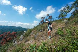 BIB: 
                            <button type="button" onclick="openModal(28096516)" class="btn btn-primary btn-sm float-right btn-popup" data-toggle="modal" data-target=".modal-high-quality">
                        <i class="fas fa-shopping-cart"></i> Add to Cart
                    </button>
                                            <button type="button" onclick="isThisMe(28096516, true)" class="btn btn-success btn-sm float-right btn-popup btn-isme hidden" data-toggle="tooltip" data-placement="bottom" title="นี่คือรูปของคุณใช่ไหม คลิกที่นี่เพื่อเอาเข้าอัลบั้ม">
                        <i class="fas fa-plus"></i> Add to album
                    </button>
                    <button type="button" onclick="isThisMe(28096516, false)" class="btn btn-warning btn-sm float-right btn-popup btn-isnotme hidden">
                        <i class="fas fa-ban"></i> Remove from album
                    </button>