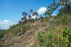 BIB: 
                            <button type="button" onclick="openModal(28096362)" class="btn btn-primary btn-sm float-right btn-popup" data-toggle="modal" data-target=".modal-high-quality">
                        <i class="fas fa-shopping-cart"></i> Add to Cart
                    </button>
                                            <button type="button" onclick="isThisMe(28096362, true)" class="btn btn-success btn-sm float-right btn-popup btn-isme hidden" data-toggle="tooltip" data-placement="bottom" title="นี่คือรูปของคุณใช่ไหม คลิกที่นี่เพื่อเอาเข้าอัลบั้ม">
                        <i class="fas fa-plus"></i> Add to album
                    </button>
                    <button type="button" onclick="isThisMe(28096362, false)" class="btn btn-warning btn-sm float-right btn-popup btn-isnotme hidden">
                        <i class="fas fa-ban"></i> Remove from album
                    </button>