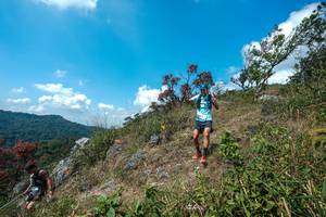 BIB: 
                            <button type="button" onclick="openModal(28096169)" class="btn btn-primary btn-sm float-right btn-popup" data-toggle="modal" data-target=".modal-high-quality">
                        <i class="fas fa-shopping-cart"></i> Add to Cart
                    </button>
                                            <button type="button" onclick="isThisMe(28096169, true)" class="btn btn-success btn-sm float-right btn-popup btn-isme hidden" data-toggle="tooltip" data-placement="bottom" title="นี่คือรูปของคุณใช่ไหม คลิกที่นี่เพื่อเอาเข้าอัลบั้ม">
                        <i class="fas fa-plus"></i> Add to album
                    </button>
                    <button type="button" onclick="isThisMe(28096169, false)" class="btn btn-warning btn-sm float-right btn-popup btn-isnotme hidden">
                        <i class="fas fa-ban"></i> Remove from album
                    </button>