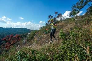 BIB: 
                            <button type="button" onclick="openModal(28097367)" class="btn btn-primary btn-sm float-right btn-popup" data-toggle="modal" data-target=".modal-high-quality">
                        <i class="fas fa-shopping-cart"></i> Add to Cart
                    </button>
                                            <button type="button" onclick="isThisMe(28097367, true)" class="btn btn-success btn-sm float-right btn-popup btn-isme hidden" data-toggle="tooltip" data-placement="bottom" title="นี่คือรูปของคุณใช่ไหม คลิกที่นี่เพื่อเอาเข้าอัลบั้ม">
                        <i class="fas fa-plus"></i> Add to album
                    </button>
                    <button type="button" onclick="isThisMe(28097367, false)" class="btn btn-warning btn-sm float-right btn-popup btn-isnotme hidden">
                        <i class="fas fa-ban"></i> Remove from album
                    </button>