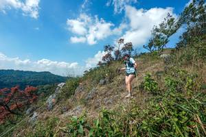 BIB: 
                            <button type="button" onclick="openModal(28096478)" class="btn btn-primary btn-sm float-right btn-popup" data-toggle="modal" data-target=".modal-high-quality">
                        <i class="fas fa-shopping-cart"></i> Add to Cart
                    </button>
                                            <button type="button" onclick="isThisMe(28096478, true)" class="btn btn-success btn-sm float-right btn-popup btn-isme hidden" data-toggle="tooltip" data-placement="bottom" title="นี่คือรูปของคุณใช่ไหม คลิกที่นี่เพื่อเอาเข้าอัลบั้ม">
                        <i class="fas fa-plus"></i> Add to album
                    </button>
                    <button type="button" onclick="isThisMe(28096478, false)" class="btn btn-warning btn-sm float-right btn-popup btn-isnotme hidden">
                        <i class="fas fa-ban"></i> Remove from album
                    </button>