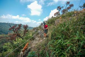 BIB: 
                            <button type="button" onclick="openModal(28095912)" class="btn btn-primary btn-sm float-right btn-popup" data-toggle="modal" data-target=".modal-high-quality">
                        <i class="fas fa-shopping-cart"></i> Add to Cart
                    </button>
                                            <button type="button" onclick="isThisMe(28095912, true)" class="btn btn-success btn-sm float-right btn-popup btn-isme hidden" data-toggle="tooltip" data-placement="bottom" title="นี่คือรูปของคุณใช่ไหม คลิกที่นี่เพื่อเอาเข้าอัลบั้ม">
                        <i class="fas fa-plus"></i> Add to album
                    </button>
                    <button type="button" onclick="isThisMe(28095912, false)" class="btn btn-warning btn-sm float-right btn-popup btn-isnotme hidden">
                        <i class="fas fa-ban"></i> Remove from album
                    </button>