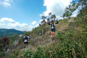 BIB: 
                            <button type="button" onclick="openModal(28096207)" class="btn btn-primary btn-sm float-right btn-popup" data-toggle="modal" data-target=".modal-high-quality">
                        <i class="fas fa-shopping-cart"></i> Add to Cart
                    </button>
                                            <button type="button" onclick="isThisMe(28096207, true)" class="btn btn-success btn-sm float-right btn-popup btn-isme hidden" data-toggle="tooltip" data-placement="bottom" title="นี่คือรูปของคุณใช่ไหม คลิกที่นี่เพื่อเอาเข้าอัลบั้ม">
                        <i class="fas fa-plus"></i> Add to album
                    </button>
                    <button type="button" onclick="isThisMe(28096207, false)" class="btn btn-warning btn-sm float-right btn-popup btn-isnotme hidden">
                        <i class="fas fa-ban"></i> Remove from album
                    </button>