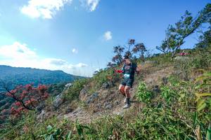 BIB: 
                            <button type="button" onclick="openModal(28098146)" class="btn btn-primary btn-sm float-right btn-popup" data-toggle="modal" data-target=".modal-high-quality">
                        <i class="fas fa-shopping-cart"></i> Add to Cart
                    </button>
                                            <button type="button" onclick="isThisMe(28098146, true)" class="btn btn-success btn-sm float-right btn-popup btn-isme hidden" data-toggle="tooltip" data-placement="bottom" title="นี่คือรูปของคุณใช่ไหม คลิกที่นี่เพื่อเอาเข้าอัลบั้ม">
                        <i class="fas fa-plus"></i> Add to album
                    </button>
                    <button type="button" onclick="isThisMe(28098146, false)" class="btn btn-warning btn-sm float-right btn-popup btn-isnotme hidden">
                        <i class="fas fa-ban"></i> Remove from album
                    </button>