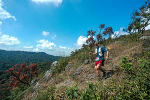 BIB: 
                            <button type="button" onclick="openModal(28096156)" class="btn btn-primary btn-sm float-right btn-popup" data-toggle="modal" data-target=".modal-high-quality">
                        <i class="fas fa-shopping-cart"></i> Add to Cart
                    </button>
                                            <button type="button" onclick="isThisMe(28096156, true)" class="btn btn-success btn-sm float-right btn-popup btn-isme hidden" data-toggle="tooltip" data-placement="bottom" title="นี่คือรูปของคุณใช่ไหม คลิกที่นี่เพื่อเอาเข้าอัลบั้ม">
                        <i class="fas fa-plus"></i> Add to album
                    </button>
                    <button type="button" onclick="isThisMe(28096156, false)" class="btn btn-warning btn-sm float-right btn-popup btn-isnotme hidden">
                        <i class="fas fa-ban"></i> Remove from album
                    </button>