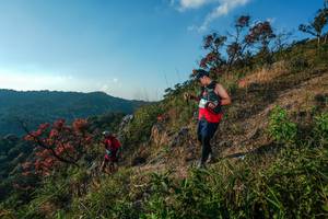 BIB: 
                            <button type="button" onclick="openModal(28099333)" class="btn btn-primary btn-sm float-right btn-popup" data-toggle="modal" data-target=".modal-high-quality">
                        <i class="fas fa-shopping-cart"></i> Add to Cart
                    </button>
                                            <button type="button" onclick="isThisMe(28099333, true)" class="btn btn-success btn-sm float-right btn-popup btn-isme hidden" data-toggle="tooltip" data-placement="bottom" title="นี่คือรูปของคุณใช่ไหม คลิกที่นี่เพื่อเอาเข้าอัลบั้ม">
                        <i class="fas fa-plus"></i> Add to album
                    </button>
                    <button type="button" onclick="isThisMe(28099333, false)" class="btn btn-warning btn-sm float-right btn-popup btn-isnotme hidden">
                        <i class="fas fa-ban"></i> Remove from album
                    </button>