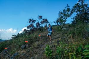 BIB: 
                            <button type="button" onclick="openModal(28096760)" class="btn btn-primary btn-sm float-right btn-popup" data-toggle="modal" data-target=".modal-high-quality">
                        <i class="fas fa-shopping-cart"></i> Add to Cart
                    </button>
                                            <button type="button" onclick="isThisMe(28096760, true)" class="btn btn-success btn-sm float-right btn-popup btn-isme hidden" data-toggle="tooltip" data-placement="bottom" title="นี่คือรูปของคุณใช่ไหม คลิกที่นี่เพื่อเอาเข้าอัลบั้ม">
                        <i class="fas fa-plus"></i> Add to album
                    </button>
                    <button type="button" onclick="isThisMe(28096760, false)" class="btn btn-warning btn-sm float-right btn-popup btn-isnotme hidden">
                        <i class="fas fa-ban"></i> Remove from album
                    </button>