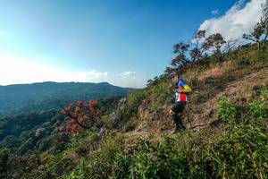 BIB: 
                            <button type="button" onclick="openModal(28099171)" class="btn btn-primary btn-sm float-right btn-popup" data-toggle="modal" data-target=".modal-high-quality">
                        <i class="fas fa-shopping-cart"></i> Add to Cart
                    </button>
                                            <button type="button" onclick="isThisMe(28099171, true)" class="btn btn-success btn-sm float-right btn-popup btn-isme hidden" data-toggle="tooltip" data-placement="bottom" title="นี่คือรูปของคุณใช่ไหม คลิกที่นี่เพื่อเอาเข้าอัลบั้ม">
                        <i class="fas fa-plus"></i> Add to album
                    </button>
                    <button type="button" onclick="isThisMe(28099171, false)" class="btn btn-warning btn-sm float-right btn-popup btn-isnotme hidden">
                        <i class="fas fa-ban"></i> Remove from album
                    </button>