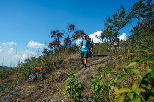 BIB: 
                            <button type="button" onclick="openModal(28097308)" class="btn btn-primary btn-sm float-right btn-popup" data-toggle="modal" data-target=".modal-high-quality">
                        <i class="fas fa-shopping-cart"></i> Add to Cart
                    </button>
                                            <button type="button" onclick="isThisMe(28097308, true)" class="btn btn-success btn-sm float-right btn-popup btn-isme hidden" data-toggle="tooltip" data-placement="bottom" title="นี่คือรูปของคุณใช่ไหม คลิกที่นี่เพื่อเอาเข้าอัลบั้ม">
                        <i class="fas fa-plus"></i> Add to album
                    </button>
                    <button type="button" onclick="isThisMe(28097308, false)" class="btn btn-warning btn-sm float-right btn-popup btn-isnotme hidden">
                        <i class="fas fa-ban"></i> Remove from album
                    </button>