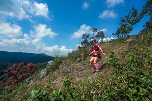 BIB: 
                            <button type="button" onclick="openModal(28096108)" class="btn btn-primary btn-sm float-right btn-popup" data-toggle="modal" data-target=".modal-high-quality">
                        <i class="fas fa-shopping-cart"></i> Add to Cart
                    </button>
                                            <button type="button" onclick="isThisMe(28096108, true)" class="btn btn-success btn-sm float-right btn-popup btn-isme hidden" data-toggle="tooltip" data-placement="bottom" title="นี่คือรูปของคุณใช่ไหม คลิกที่นี่เพื่อเอาเข้าอัลบั้ม">
                        <i class="fas fa-plus"></i> Add to album
                    </button>
                    <button type="button" onclick="isThisMe(28096108, false)" class="btn btn-warning btn-sm float-right btn-popup btn-isnotme hidden">
                        <i class="fas fa-ban"></i> Remove from album
                    </button>