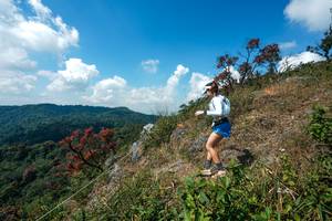 BIB: 
                            <button type="button" onclick="openModal(28096011)" class="btn btn-primary btn-sm float-right btn-popup" data-toggle="modal" data-target=".modal-high-quality">
                        <i class="fas fa-shopping-cart"></i> Add to Cart
                    </button>
                                            <button type="button" onclick="isThisMe(28096011, true)" class="btn btn-success btn-sm float-right btn-popup btn-isme hidden" data-toggle="tooltip" data-placement="bottom" title="นี่คือรูปของคุณใช่ไหม คลิกที่นี่เพื่อเอาเข้าอัลบั้ม">
                        <i class="fas fa-plus"></i> Add to album
                    </button>
                    <button type="button" onclick="isThisMe(28096011, false)" class="btn btn-warning btn-sm float-right btn-popup btn-isnotme hidden">
                        <i class="fas fa-ban"></i> Remove from album
                    </button>