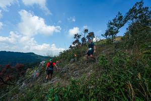 BIB: 
                            <button type="button" onclick="openModal(28096084)" class="btn btn-primary btn-sm float-right btn-popup" data-toggle="modal" data-target=".modal-high-quality">
                        <i class="fas fa-shopping-cart"></i> Add to Cart
                    </button>
                                            <button type="button" onclick="isThisMe(28096084, true)" class="btn btn-success btn-sm float-right btn-popup btn-isme hidden" data-toggle="tooltip" data-placement="bottom" title="นี่คือรูปของคุณใช่ไหม คลิกที่นี่เพื่อเอาเข้าอัลบั้ม">
                        <i class="fas fa-plus"></i> Add to album
                    </button>
                    <button type="button" onclick="isThisMe(28096084, false)" class="btn btn-warning btn-sm float-right btn-popup btn-isnotme hidden">
                        <i class="fas fa-ban"></i> Remove from album
                    </button>