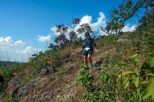 BIB: 
                            <button type="button" onclick="openModal(28097442)" class="btn btn-primary btn-sm float-right btn-popup" data-toggle="modal" data-target=".modal-high-quality">
                        <i class="fas fa-shopping-cart"></i> Add to Cart
                    </button>
                                            <button type="button" onclick="isThisMe(28097442, true)" class="btn btn-success btn-sm float-right btn-popup btn-isme hidden" data-toggle="tooltip" data-placement="bottom" title="นี่คือรูปของคุณใช่ไหม คลิกที่นี่เพื่อเอาเข้าอัลบั้ม">
                        <i class="fas fa-plus"></i> Add to album
                    </button>
                    <button type="button" onclick="isThisMe(28097442, false)" class="btn btn-warning btn-sm float-right btn-popup btn-isnotme hidden">
                        <i class="fas fa-ban"></i> Remove from album
                    </button>