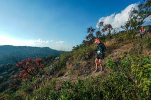 BIB: 
                            <button type="button" onclick="openModal(28099178)" class="btn btn-primary btn-sm float-right btn-popup" data-toggle="modal" data-target=".modal-high-quality">
                        <i class="fas fa-shopping-cart"></i> Add to Cart
                    </button>
                                            <button type="button" onclick="isThisMe(28099178, true)" class="btn btn-success btn-sm float-right btn-popup btn-isme hidden" data-toggle="tooltip" data-placement="bottom" title="นี่คือรูปของคุณใช่ไหม คลิกที่นี่เพื่อเอาเข้าอัลบั้ม">
                        <i class="fas fa-plus"></i> Add to album
                    </button>
                    <button type="button" onclick="isThisMe(28099178, false)" class="btn btn-warning btn-sm float-right btn-popup btn-isnotme hidden">
                        <i class="fas fa-ban"></i> Remove from album
                    </button>